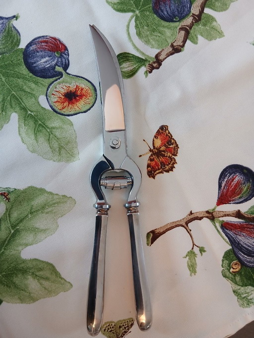 Wild/Gevogelteschaar, Verzilverd 