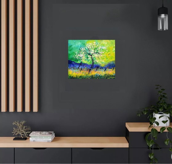 Image 1 of Melo in primavera