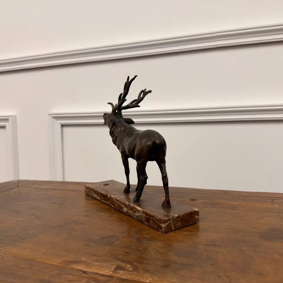 Buy Bronze Red Deer Sculpture? - Wide selection!, Chesterfield (photo 8 of 8)