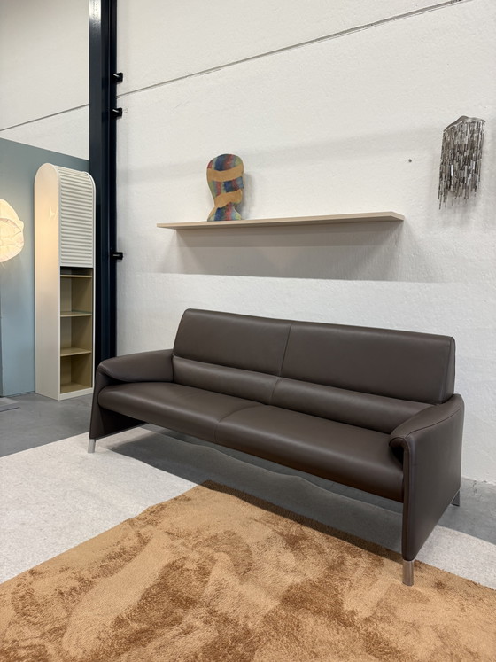 Leolux Felizia Canapé 3 places Senso Noyer – Canapés 3 places, Leather (photo 5 of 8)