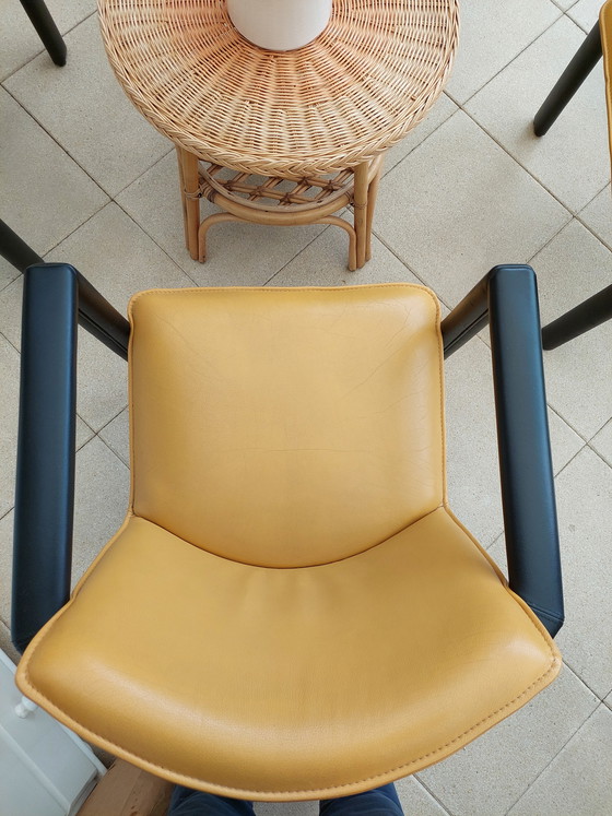 Image 1 of 4xsedie Leolux (CACHUCHA), pelle Wapity. Il designer Hugo de Ruiter.