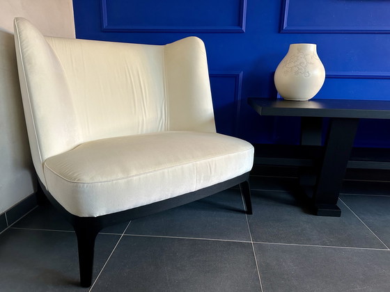 Image 1 of Flexform fauteuil XL DRAGONFLY by Roberto Lazzeroni