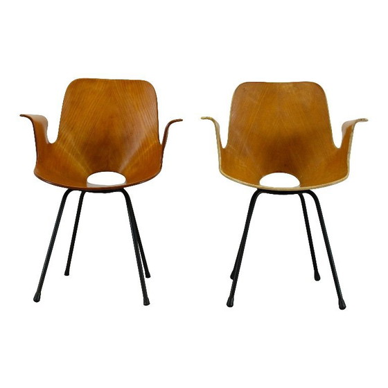 Image 1 of sedia con braccioli in legno curvato di faggio "medea" di vittorio nobili per fratelli tagliabue, italia, 1956
