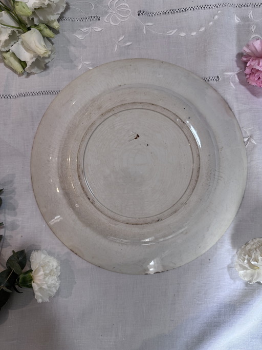 Plato de piedra de hierro Balzac kg