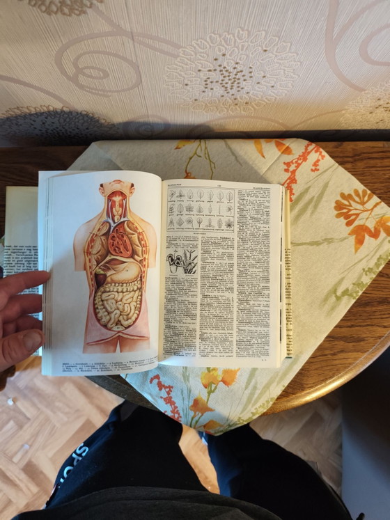 Vintage Verschuerens Modern Dictionary, Standaard Uitgeverij, Coffee table books, Paper, Black (photo 11 of 11)