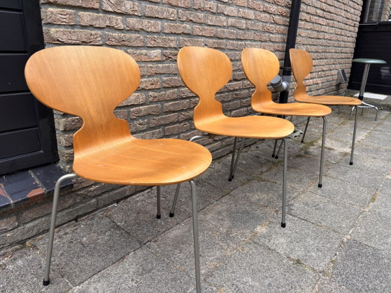 Image 1 of Set van 4 originele en zeldzame 3 poot stoelen Fritz Hansen