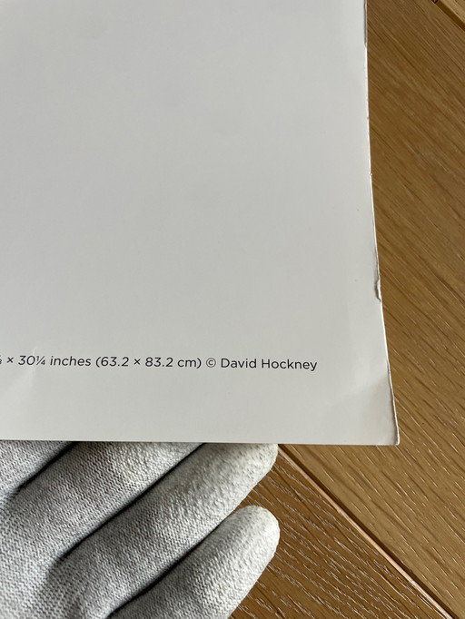 David Hockney, Woldgate, 6-7 mai de L'arrivée du printemps en 2013, Copyright David Hockney
