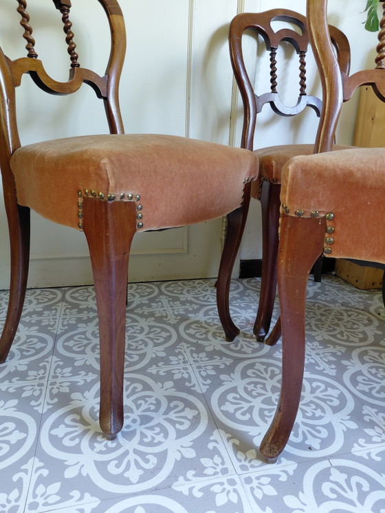 Juego de 4 sillas de comedor antiguas estilo Biedermeier - Buen estado – Velvet, Wood (photo 5 of 13)