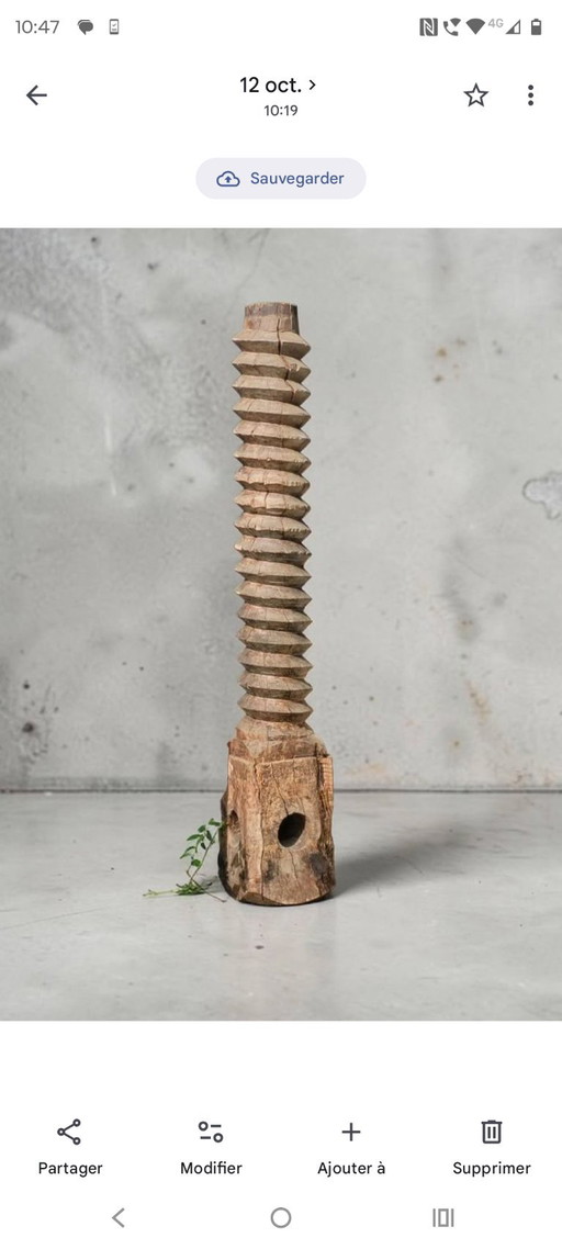 Sehr große monoxyle Weinpressschnecke