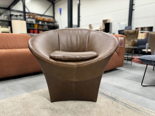 Label Ace fauteuil Bovino bruin leer