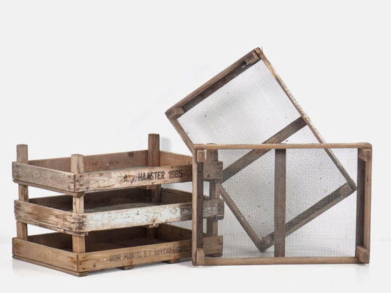 Wooden box for tulip bulbs (c.1980) – Garden accessories, Metal, Rustic (photo 2 of 9)
