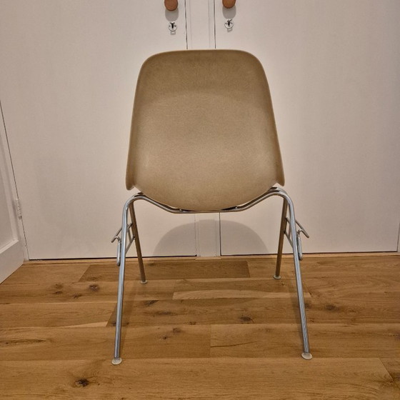 Image 1 of 2 chaises latérales Eames en fibre de verre (piètement DSS)