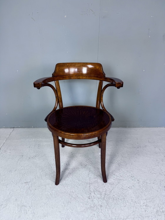 Image 1 of Chaise Thonet Cosmos