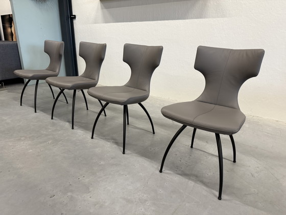 Image 1 of 4 Leolux Callas Dining Chair Wapiti Triel Artisan Chair