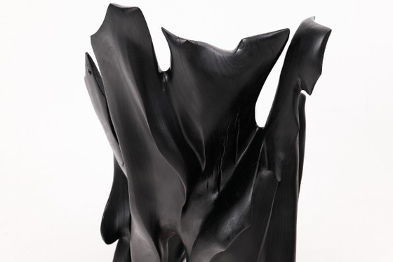 Image 1 of Fauteuil sculptural en bois noir carbonisé aux formes organiques par Logniture