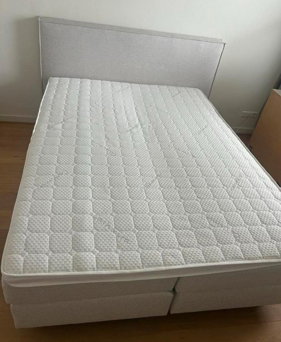 Image 1 of Cama Barnhorn 160x210