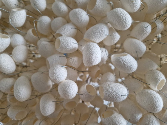 Image 1 of Lampada a sospensione/tavolo da pranzo Angus Hutcheson