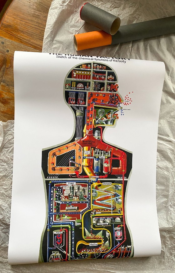 Image 1 of De menselijke fabriek - Schets van de functies van het lichaam - 1931 - Poster 61 x 91 cm
