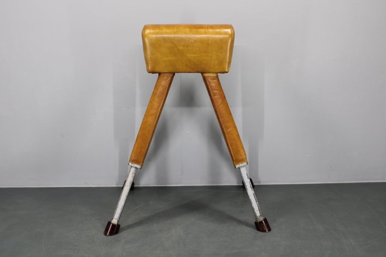 Image 1 of Tsjechoslowaaks turnpaard van leer en hout uit de jaren 50, in hoogte verstelbaar