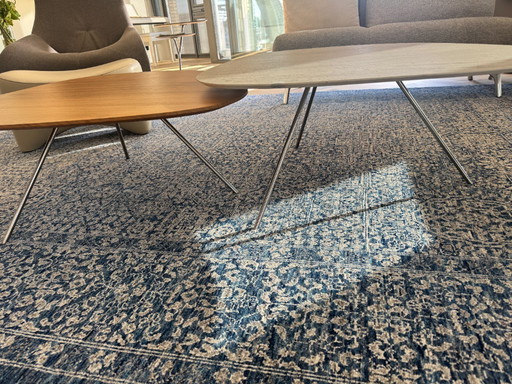 2 tavolini da caffè Leolux