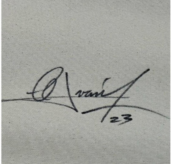 Image 1 of Alberto RICARDO - Dragon Ball 1 - Toile d'artiste