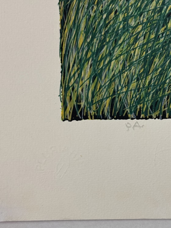 Image 1 of Franco Azzinari zeefdruk, Meiwind, 60x80cm, moderne kunst