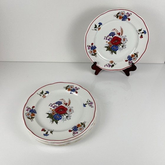Set of 4 "Agreste" Dinner Plates, Sarreguemines, Late 20th Century, Pyroblan – Crockery, Porcelain (photo 2 of 8)