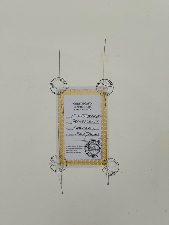 Quadro serigrafia Giulio Turcato 50x70cm arcobaleno, astratto – Litografie e stampe, Carta (photo 7 of 7)
