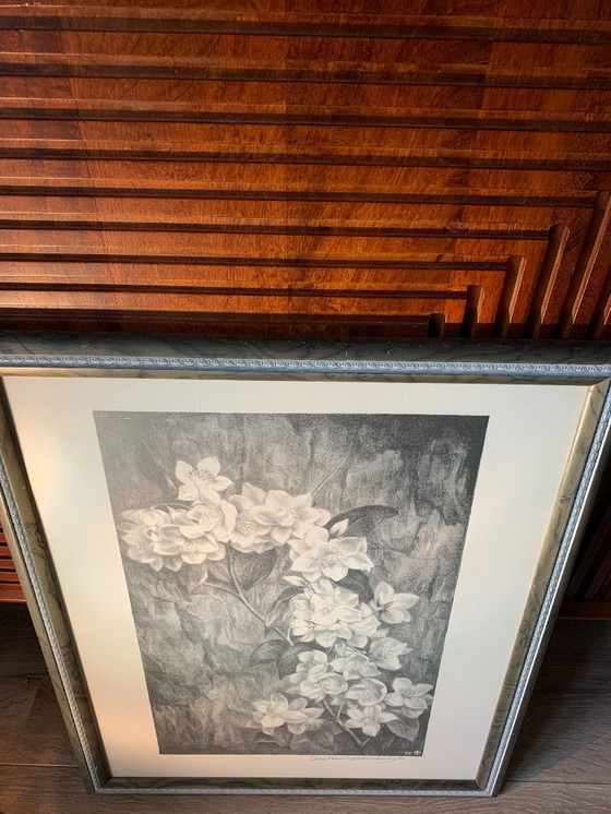 Image 1 of Aart van Dobbenburgh (1899-1988) - Lithographie Dahlia - Signée à la main r.o. 1977