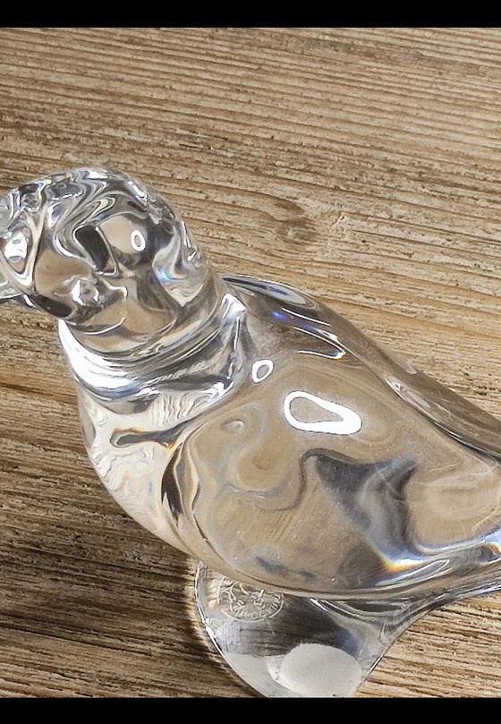 Image 1 of Perruche Baccarat