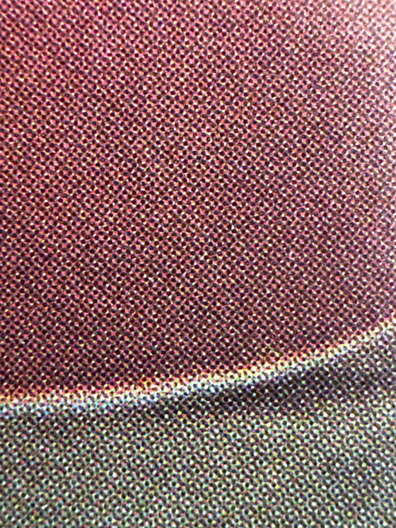 Image 1 of 🛫 Fly to Japan — Inner Garden of Heian Shrine, Kyoto – c.1965 – Original Poster by Japan Air Lines |  100.5 × 62.5 cm | Japan