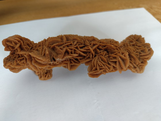 Image 1 of Rosa di sabbia rosa del deserto rosa di gesso lunga 15 cm