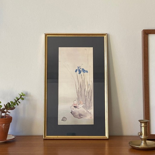 Dipinto antico di un iris, litografia di un fiore