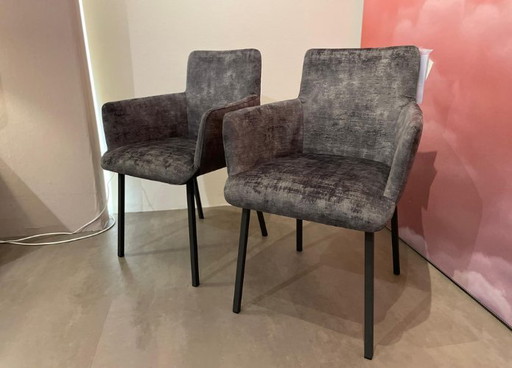 Sedie da pranzo Label Joris