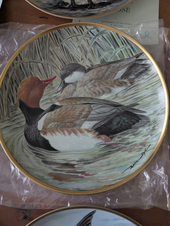 Image 1 of Basil Ede Oiseaux d'eau du monde, ensemble de 12 pièces avec système de suspension