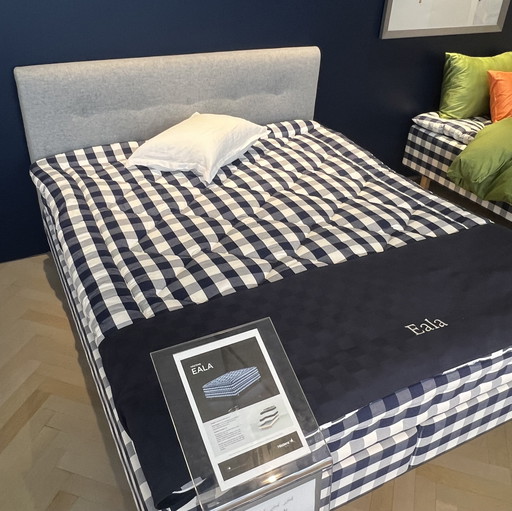 Testiera Hästens Atlas