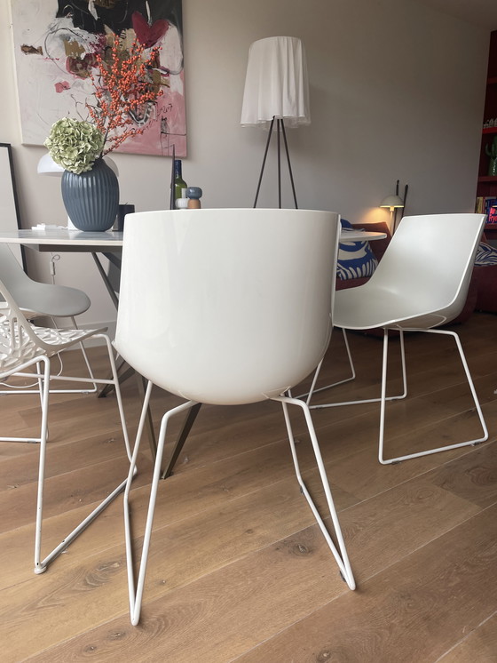 Image 1 of 4 MDF Italia Flow design eetkamer Stoelen
