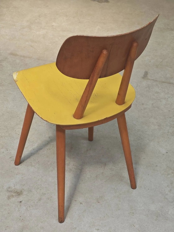 Gelber Holzstuhl TON Bystrice (Thonet) 1970 – Esszimmerstühle, Wood, Vintage (photo 7 of 11)