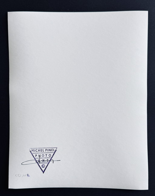 Michel Pinel - Fotografía de moda, firmada hacia 1985
