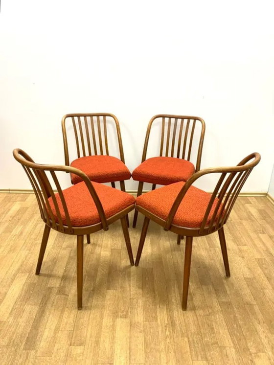 Image 1 of Set of 4 Chairs, TON by A. Šuman, 1960s, Czechoslovakia