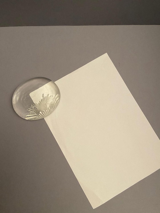 Image 1 of Fermacarte LA MURRINA con motivo marino Natale 1992!