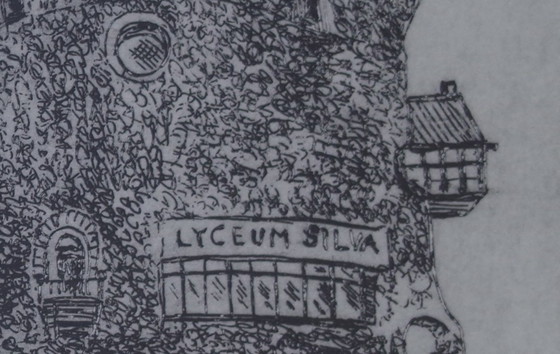 Image 1 of Etching - Reuzenwoonboom / Village in a tree