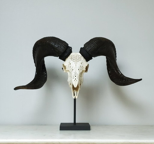 Taxidermy - Carved ram's skull on a base (ref 4039)