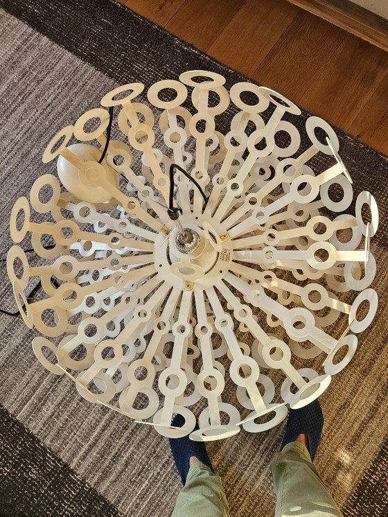 Image 1 of Design hanglamp Dandelion by Richard Hutten for Moooi