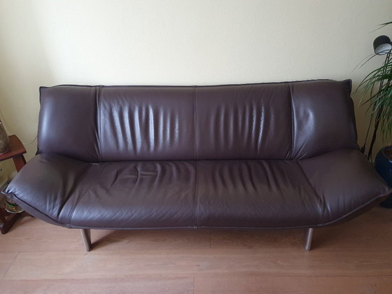 Image 1 of Divano di design Leolux Tango a 3 posti in pelle Senso marrone