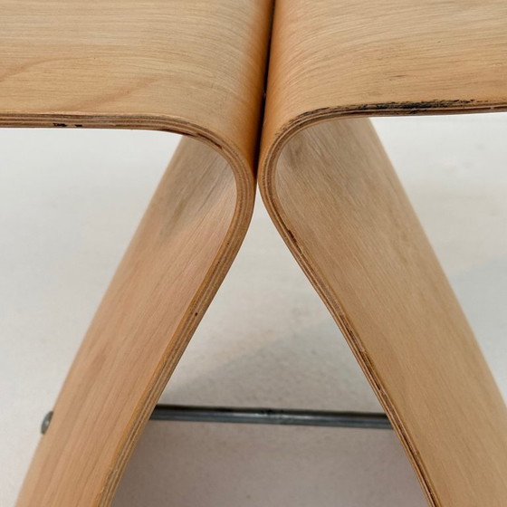 Image 1 of Kruk Butterfly