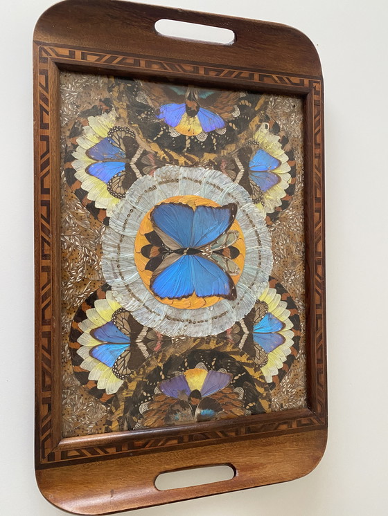 Image 1 of Plateau papillon