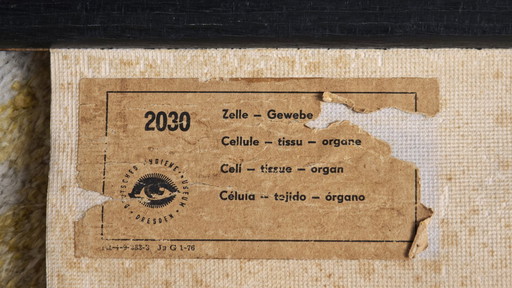 Manifesto didattico d'epoca, Deutsches Hygiene-Museum, Dresda, Germania, biologia, scienze