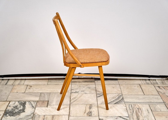 Image 1 of Set van 3 eetkamerstoelen van A. Suman, jaren 60, Tsjechoslowakije