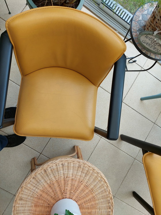 Image 1 of 4xsedie Leolux (CACHUCHA), pelle Wapity. Il designer Hugo de Ruiter.